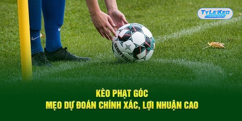 Bỏ túi các kinh nghiệm bắt kèo phạt góc quan trọng nhất Bỏ túi các kinh nghiệm bắt kèo phạt góc quan trọng nhất